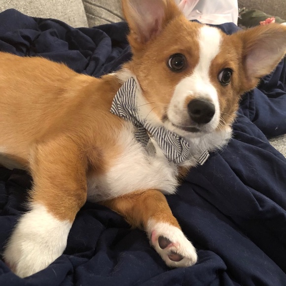 Meet your Posher, Kathleen - Picture 7 of 11